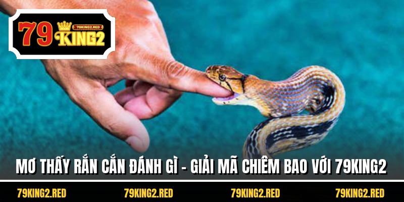Mơ Thấy Rắn Cắn Đánh Gì - Giải Mã Chiêm Bao Với 79king2
