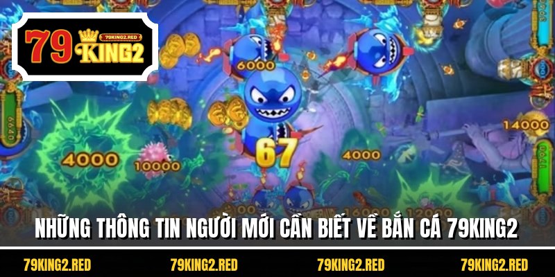 Những thông tin người mới cần biết về bắn cá 79KING2 apk