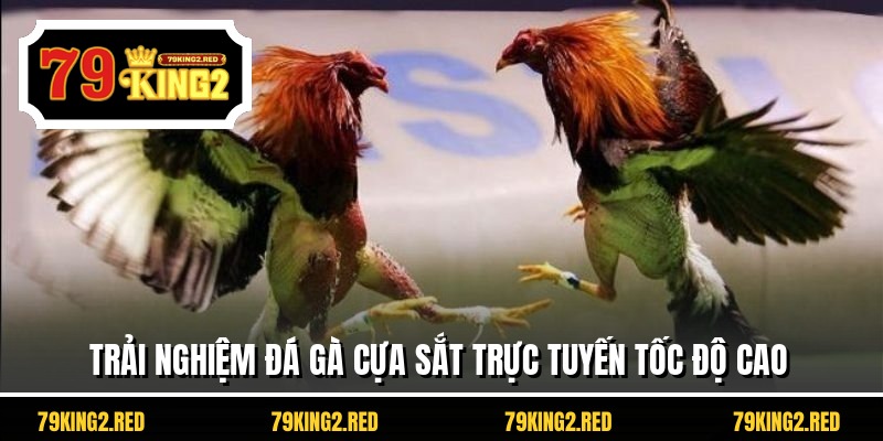 Trải nghiệm đá gà cựa sắt trực tuyến tốc độ cao