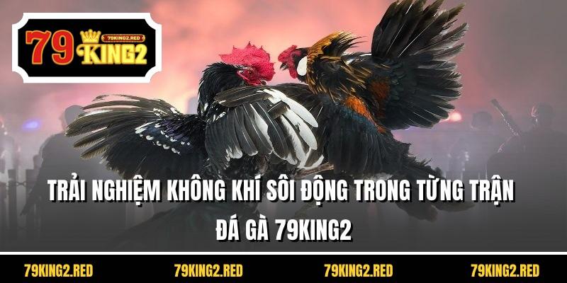 Trải nghiệm không khí sôi động trong từng trận đá gà 79KING2